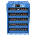 Automatic Ac/Dc incubator 528eggs